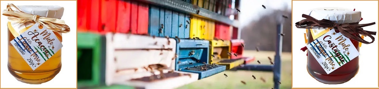 Collective order (Winter 2024): Honey